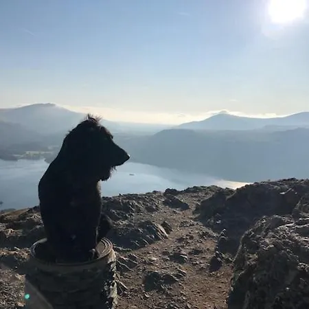 51 Brisco Mount 3 Bedroom House 公寓